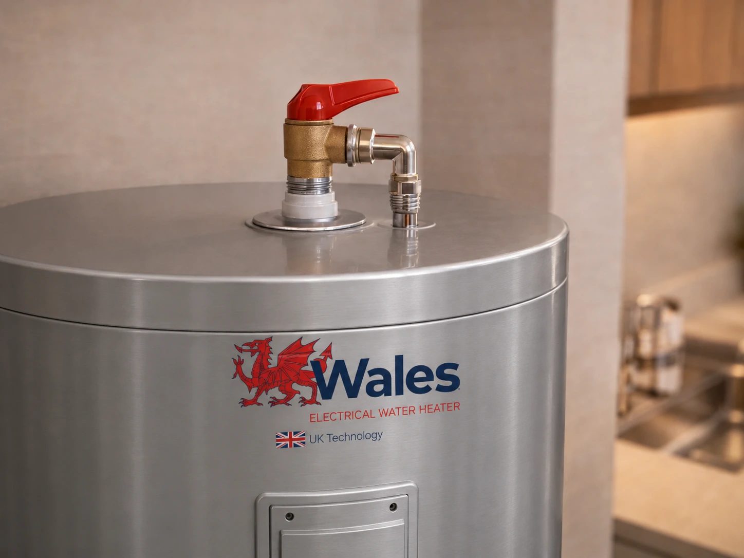 Water heater safety components