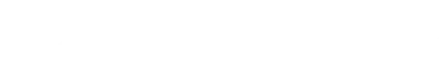 Technical X